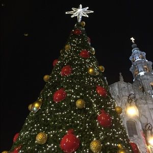 Meet your Posher, Leilani